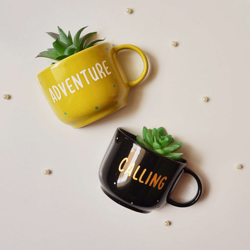 Wall Decor - Adventure Home Decor - Artificial Succulent Holder Set - Wall Vase - Home Office Decor - Study Room Decor - Dining Room Decor - Personalised Gift - Buy Online - Free Shipping India